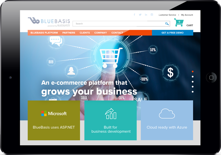 website-view