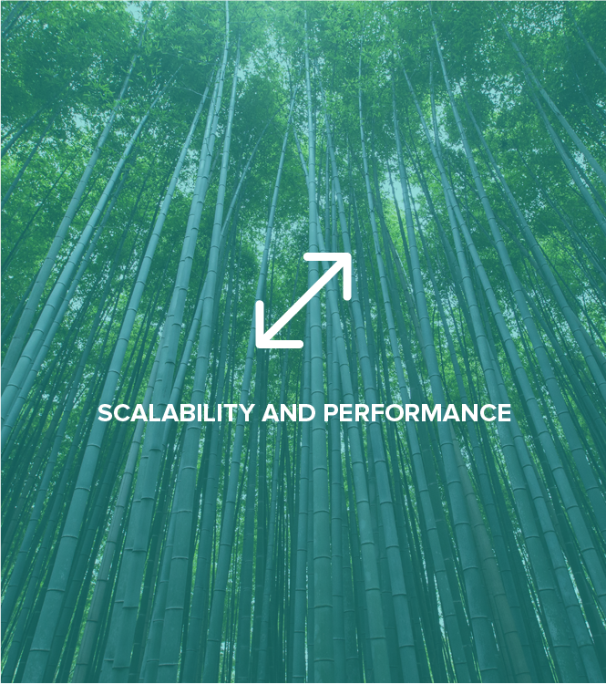 Scalability and Performance