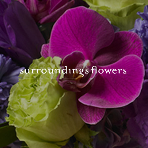 SurroundingsFlower